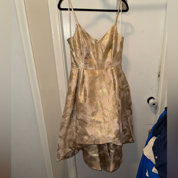Lilly Pulitzer Gold and Champagne High Low Dress - Picture 3 of 11